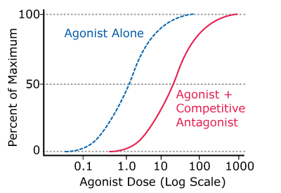 Graph showing the general activity of competitive (reversible) antagonists compared to agonists alone.