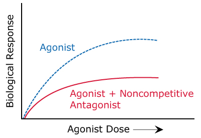 Graph showing the general activity of noncompetitive (irreversible) antagonists compared to agonists alone.