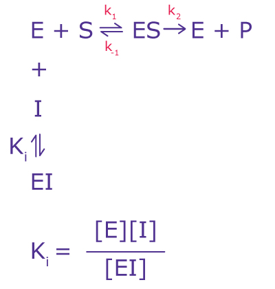 Competitive Inhibition Equation The equation for competitive inhibition calculations, including the variables for enzymes, substrates, inhibitors, and the inhibition constant.