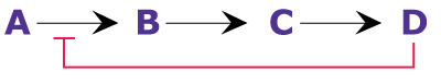 End Product Inhibition Diagram showing end product inhibition, where the end product of a pathway can directly bind to (and inhibit) the enzyme, thus shutting down the pathway.