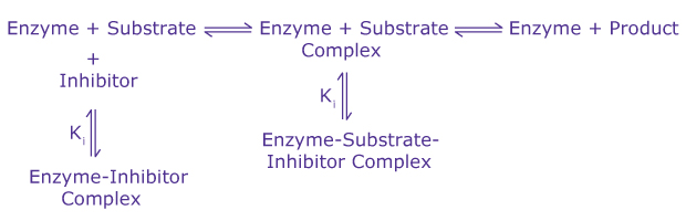 Reversible Enzyme Inhibition A general diagram showing reversible enzyme inhibition, including the creation of enzyme-inhibitor complexes, enzyme-substrate complexes, and enzyme-substrate-inhibitor complexes.