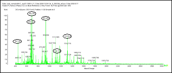 Mucin Graph Mucin