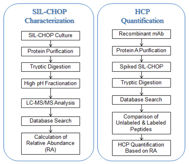 HCP Characterization and Quantification Workflow HCP Characterization and Quantification Workflow