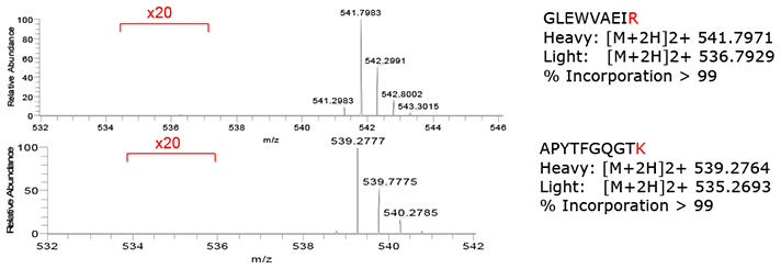 isotopic-incorporation-analysis