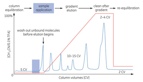 Typical RPC gradient elution