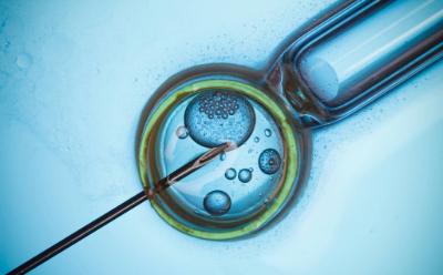 Microscopic view of IVF cell culture Microscopic view of a needle injecting an oocyte during in vitro fertilization (IVF) cell culture