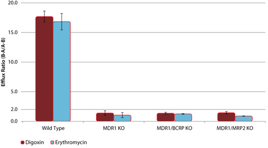 Efflux of P-gp Substrates in wild-type (WT) and MDR1 knockout (KO) cell lines Efflux of P-gp Substrates in wild-type (WT) and MDR1 knockout (KO) cell lines