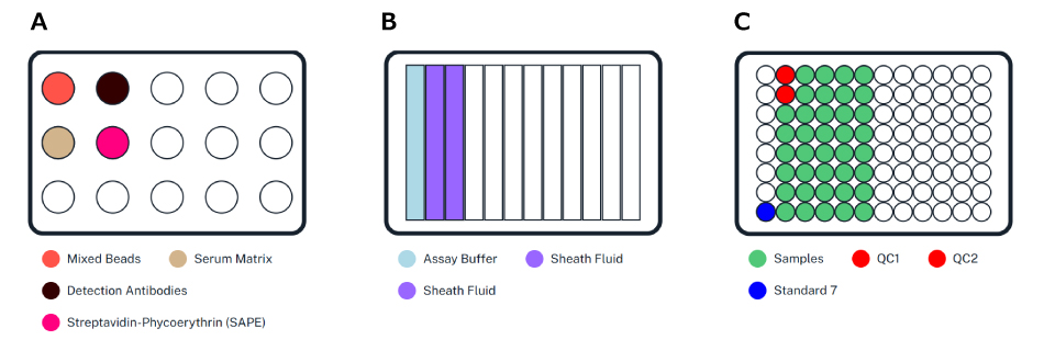 Placement of reagents when running MILLIPLEX® Human Panel A immunoassay on the AAW™ workstation – Same-Day Protocol. Shows tube rack setup with mixed beads, serum matrix, detection antibodies and SAPE, 12-well reservoir plate setup with assay buffer and sheath fluid, and plate setup with samples, QCs, and standard.