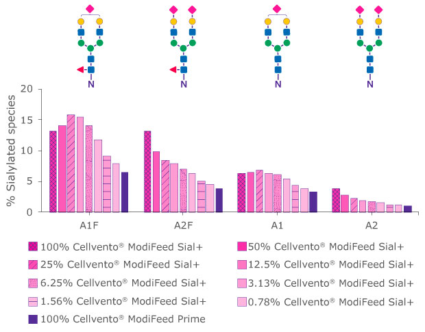 Bar chart showing how a higher percentage of Cellvento® ModiFeed Sial+ COMP contained within the feed mix increased the level of sialylation and galactosylation of a fusion protein on day 12, whereby terminal GlcNAc was reduced. 