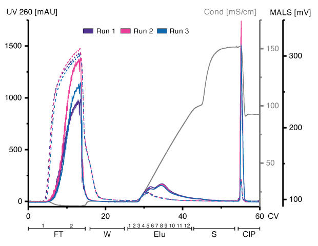 Chromatographic Profile of EVs Chromatograms of three runs demonstrate that HEK293-derived EVs can bind to and be eluted from an Eshmuno<sup>®</sup> Q resin in a reproducible manner.