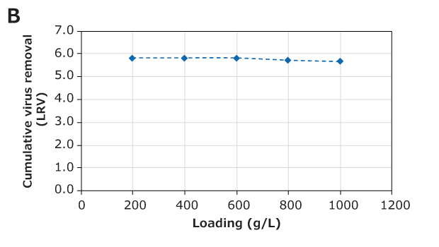 Graph showing the cumulative virus removal and clearance performance of the Natrix® CH device during monoclonal antibody purification.The right panel (B) shows cumulative virus clearance, also in LRV, which remains stable at approximately 6.0 LRV regardless of loading, suggesting effective virus clearance during the purification process.