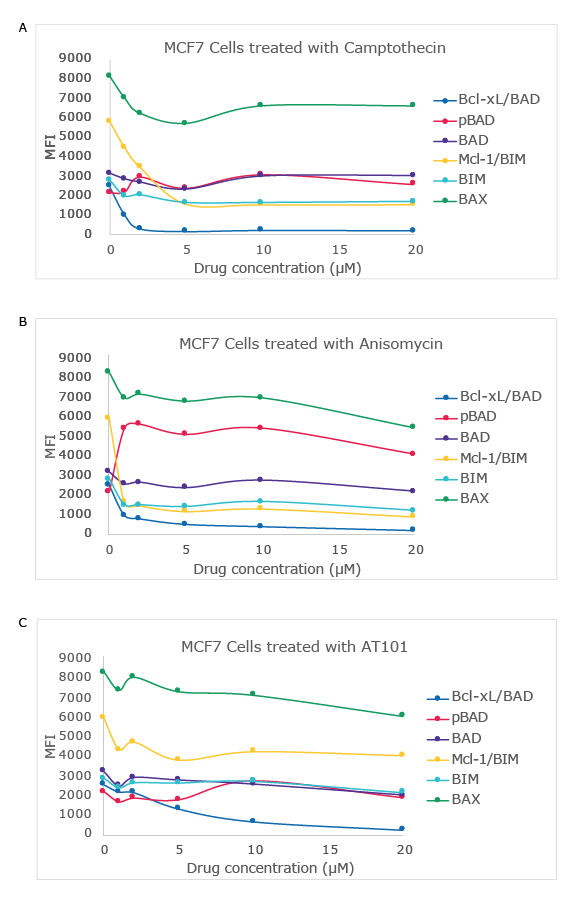 Graphs showing a drug dose-dependent study in MCF7 cell line using the MILLIPLEX® Bcl-2 Family Apoptosis Panel 1 (Cat. No. 48-682MAG) with varying concentrations of camptothecin, anisomycin, and AT101. Analytes and protein interactions measured include Bcl-xL/BAD, pBAD, BAD, MCL-1/BIM, BIM, and BAX.