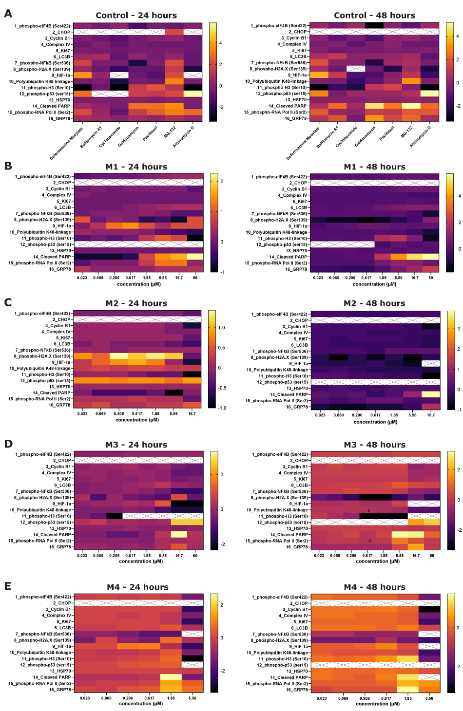 Heat maps showing log2 fold change in expression of 16 analytes in HepG2 cells using the MILLIPLEX® Human Cell Health Panel post 24- and 48-hour treatment with 7 control small molecules and 4 test compounds of varying concentration.