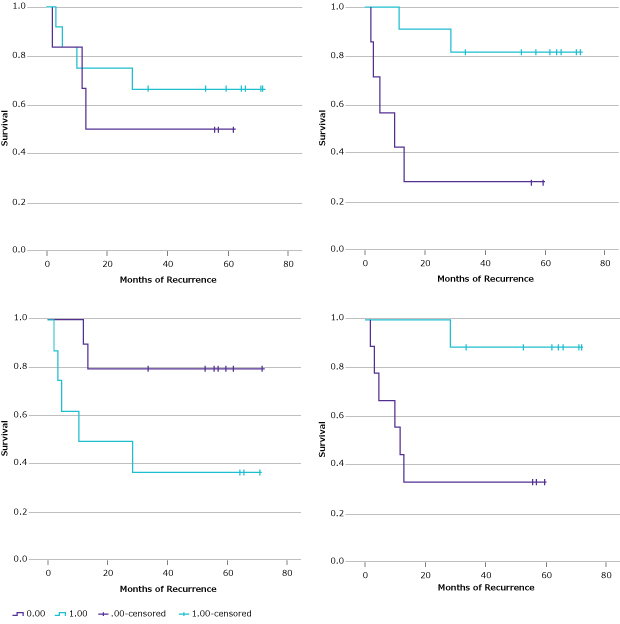 Graphs showing the Kaplan-Meier estimates of the median time to recurrence. Clinical outcomes for the T1-2N0M0 (“no metastatic progression”) and T1-3N1-2M0 (“locally advanced”) groups were evaluated via log-rank analysis for each of the 17 biomarkers for the median time to recurrence.