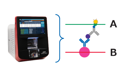 Final step of the MILLIPLEX® multiplex assay workflow based on the Luminex® xMAP® bead-based multiplex assay platform. Shows the xMAP® INTELLIFLEX® instrument and explains the lasers. Green laser goes through the detection antibodies and the red laser goes through the bead. Green laser (532 nm) to quantify binding events and the red laser (635 nm) identifies bead region. Final step of the MILLIPLEX® multiplex assay workflow based on the Luminex® xMAP® bead-based multiplex assay platform. Shows the xMAP® INTELLIFLEX® instrument and explains the lasers. Green laser goes through the detection antibodies and the red laser goes through the bead. Green laser (532 nm) to quantify binding events and the red laser (635 nm) identifies bead region.