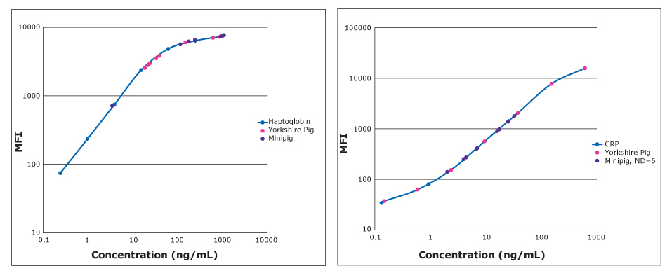 Standard curves for acute phase protein (APP) markers in porcine samples using MILLIPLEX® Porcine Acute Phase Protein Panel. Graphs show concentration in ng/mL on the x-axis and MFI on the y-axis. Haptoglobin graph shows a curve with a straight line going diagonally up and then slightly curving at the top while the CRP graph shows more of a traditional S-curve with curves at the bottom and top of the line.