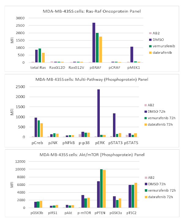 Graphs showing treatment of MDA-MB-435S cells using the MILLIPLEX® Ras-Raf Oncoprotein Panel (Cat. No. 48-684MAG), MILLIPLEX® Multi-Pathway Phosphoprotein Panel (Cat. No. 48-680MAG), and MILLIPLEX® Akt/mTOR Phosphoprotein Panel (Cat. No. 48-611MAG) with vemurafenib and dabrafenib. 
