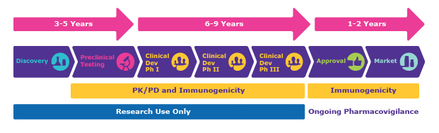 A timeline of a typical drug development research program. PK/PD and immunogenicity testing are important from preclinical testing to Phase III, and immunogenicity testing and ongoing pharmacovigilance occur after approval.