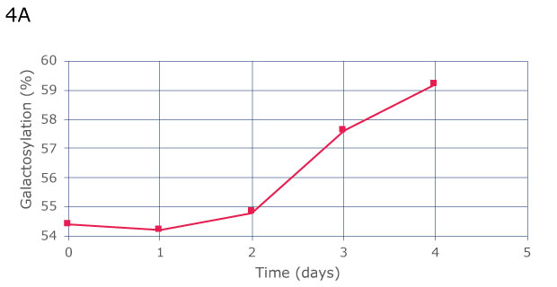 Manual sampling shows a constant increase of galactosylation over 4 days, from 54.5% on day 0 to 59% on day 4. 