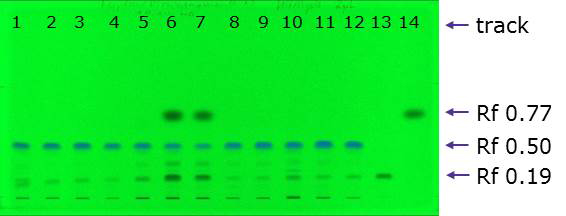 Developed plate at 254 nm Developed plate at 254 nm