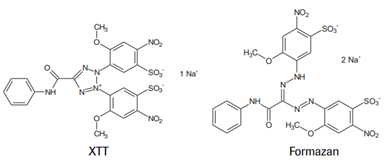 Protocol Guide: XTT Assay for Cell Viability and Proliferation XTT & Fomazan