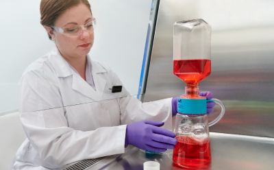 Female scientist wearing a lab coat, gloves, and safety goggles sits at a tissue culture hood filtering cell culture media into another bottle. Female scientist wearing a lab coat, gloves, and safety goggles sits at a tissue culture hood filtering cell culture media into another bottle.