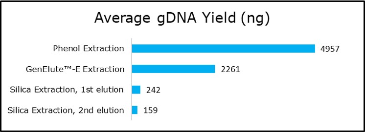 Plant DNA extraction, DNA purification, and quantification.