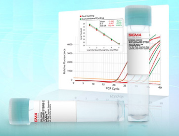 KiCqStart® SYBR® Green qPCR ReadyMix™