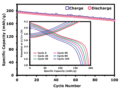 Electrochemical performance of the NMC811 cathode A graph showing specific capacity plotted against cycle number. It includes charge (blue squares) and discharge (red circles) curves, along with an inset displaying voltage profiles for cycles 5, 20, 40, 60, 80, and 100.