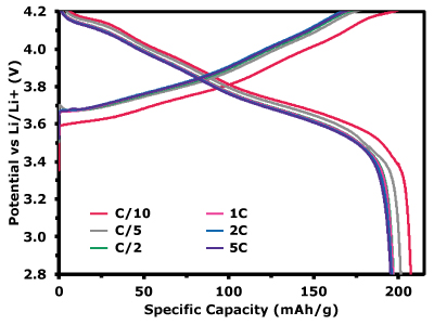 Voltage profiles of charge/discharge at different C-rates A graph depicting voltage profiles at various C-rates (C/10, C/5, C/2, 1C, 2C, and 5C), illustrating the potential versus specific capacity across different cycling conditions.