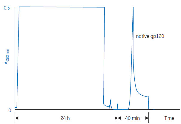 Separation of native gp120 protein Separation of native gp120 protein