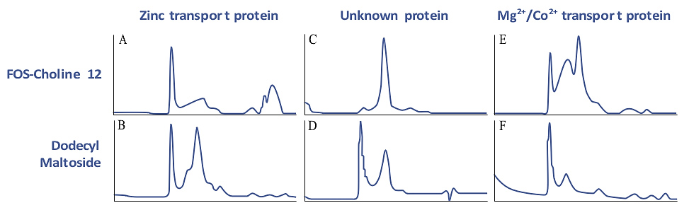 Size homogeneity characterization of membrane proteins by gel filtration