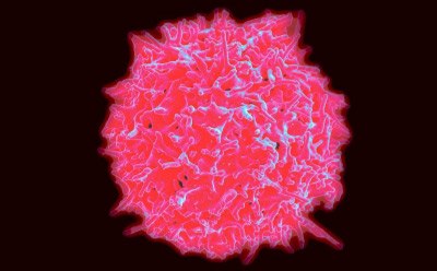 3d cell image pink