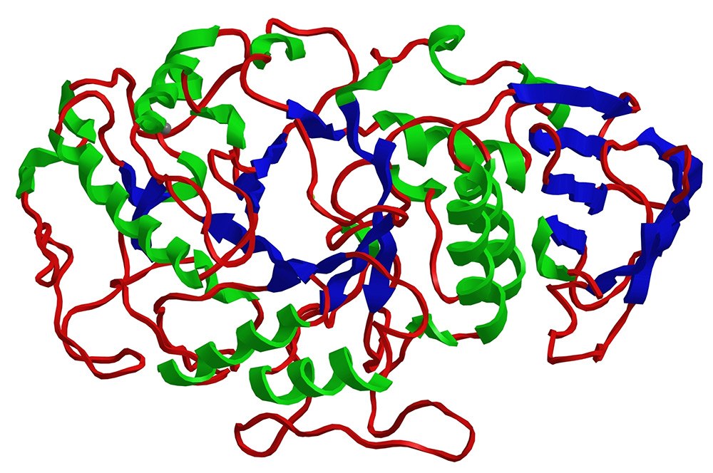 大分子HPLC