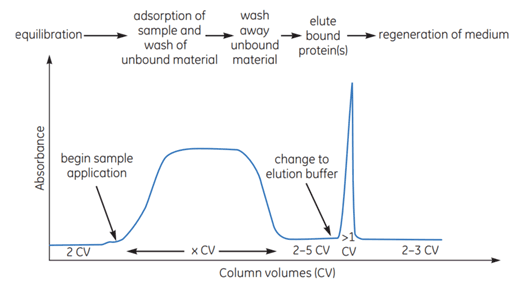 Graph illustrating the key stages of affinity chromatography separation involving bind, wash and elute steps.