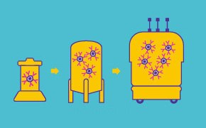 生物反应器（供料分批或灌注模式）