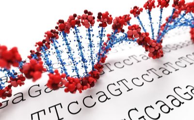 Illustration of a DNA double helix with the outline highlighted in red and the cross ladder in blue, sitting on a sequencing document showing nucleotide bases represented by letters ‘ATCG’