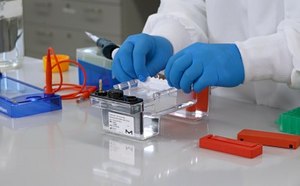 实验室技术员操作实验室设备。