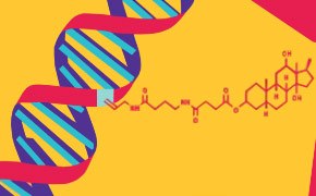 DNA and RNA labeling and detection methods and protocols