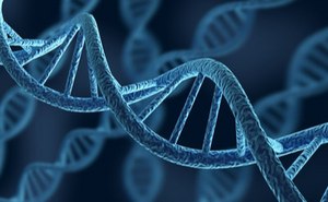 DNA & RNA Purification