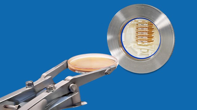 <p>无手套隔离器中的自动化环境监测</p> A laboratory image featuring a metal apparatus with a circular opening displaying a series of petri dishes inside. In the foreground, a pair of forceps is holding a petri dish, showcasing a hands-on approach to scientific experimentation. The background is a bright yellow, enhancing the focus on the equipment and the petri dish.