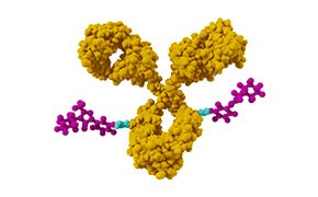 用于递送高活性药物成分的抗体药物偶联物（ADC）示意图