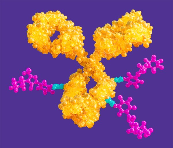 Illustration depicting antibody-drug conjugate (ADC) used to deliver highly active pharmaceutical ingredients