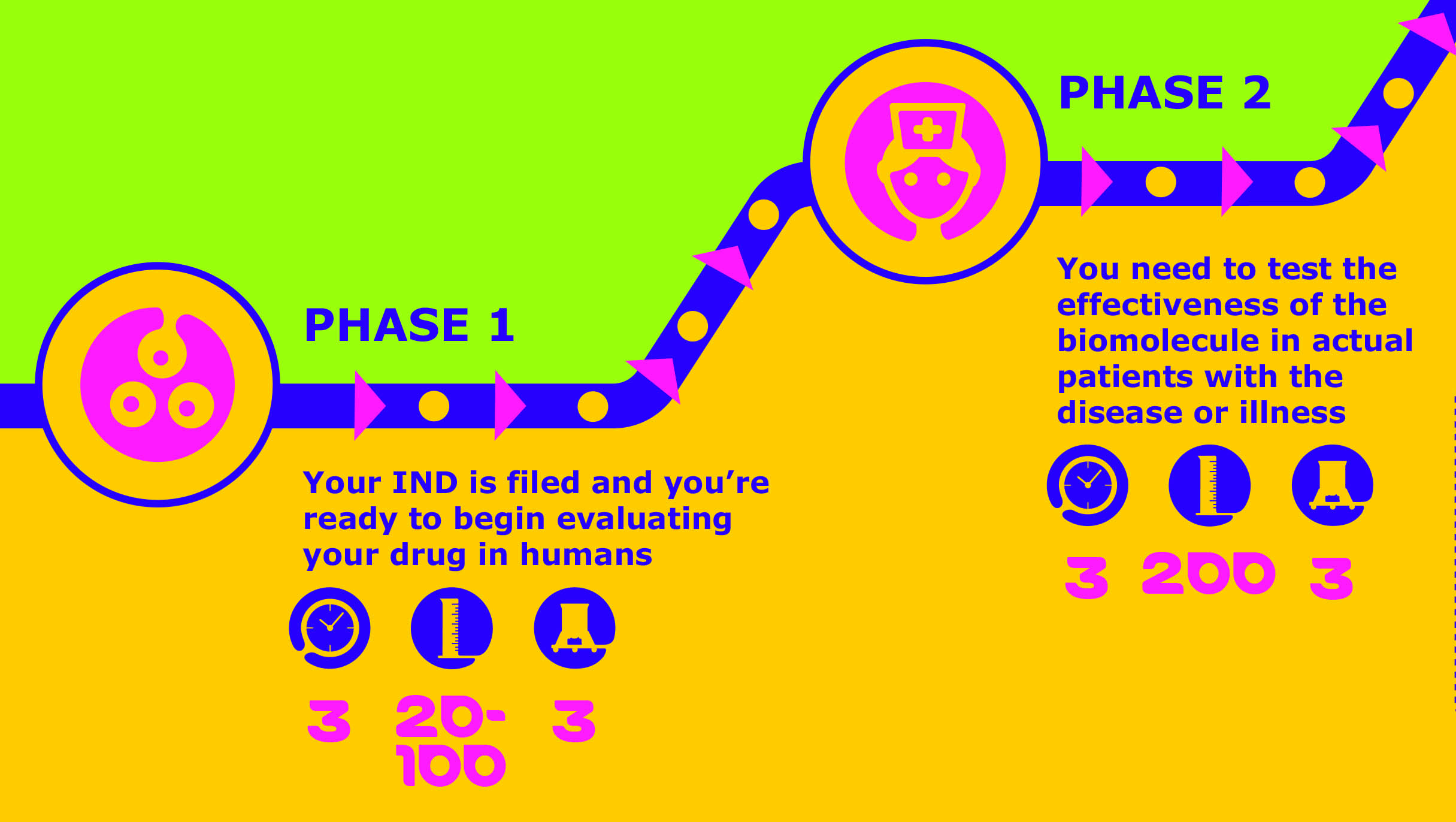 Infographic of Phase I-II biomolecule evaluation stages, including timelines and process requirements