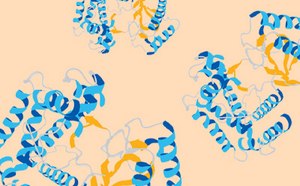 Protein lysis and extraction.