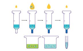 Protein Purification