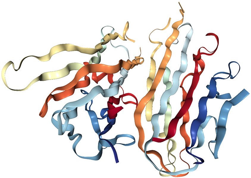 PDB ID：5MU8 from Blevitt et al., Structural Basis of Small-Molecule Aggregate Induced Inhibition of a Protein-Protein Interaction.J. Med Chem. 2017, 60:3511-3517, and AS Rose et al.(2018) NGL viewer: web-based molecular graphics for large complexes.Bioinformatics and RCSB PDB.