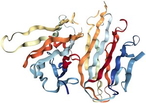 This image appears to be a 3D model of a complex protein structure. The protein consists of multiple intertwined and folded strands, each colored differently to distinguish the various parts.