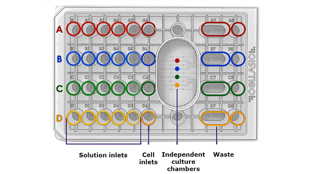 CellASIC® ONIX2 microfluidics – how it works in live cell imaging