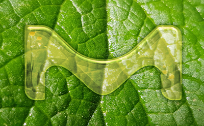 The letter M on a green leaf.